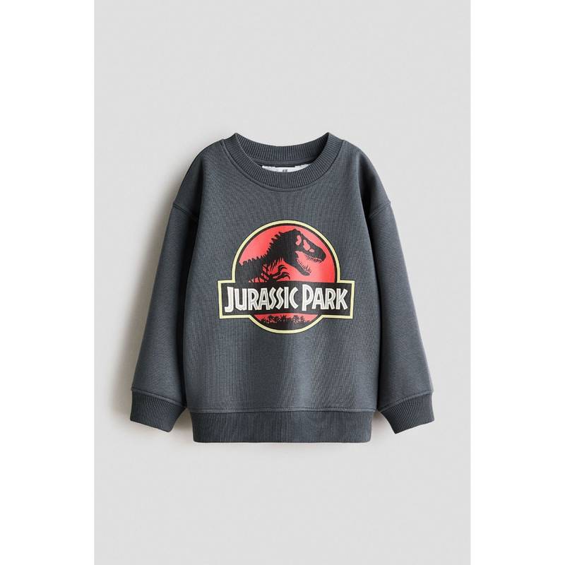 H&M Boys Grey Printed Sweatshirt (2-4 Years) (2-4 Years)