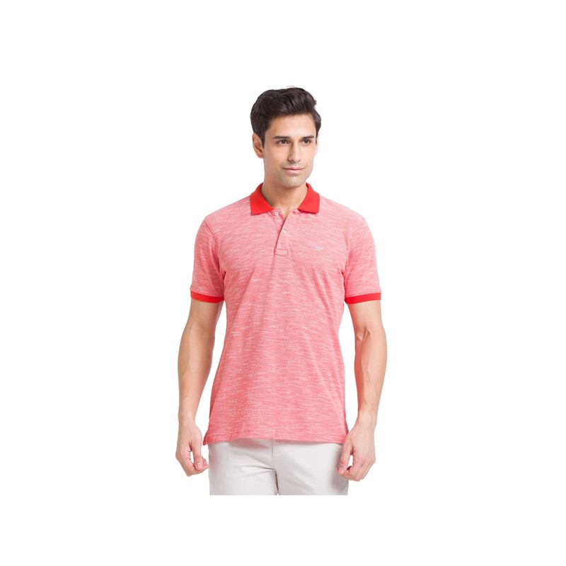 Park Avenue Slim Fit Solid Dark Red Polo T-Shirt (S)