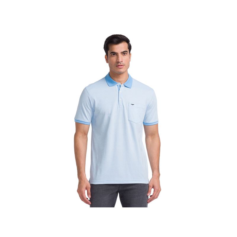 Park Avenue Slim Fit Solid Blue Polo T-Shirt (M)