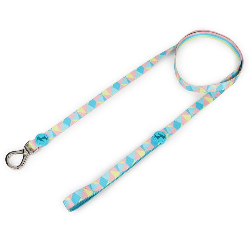 Heads Up For Tails Patchwork Slumber Dog Leash (Small)