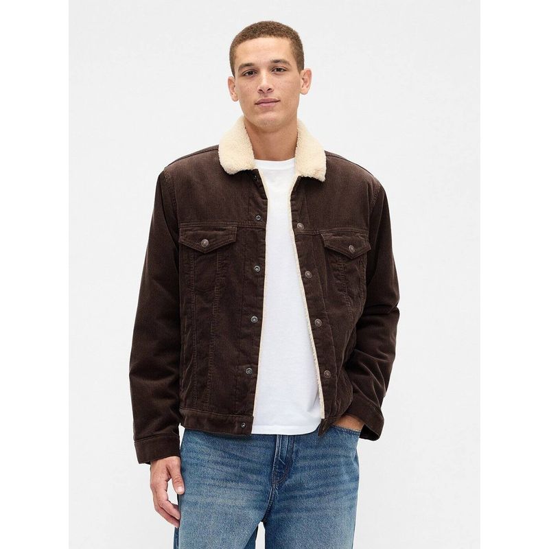 GAP Brown Men Cotton Collar Neck Jacket (M)