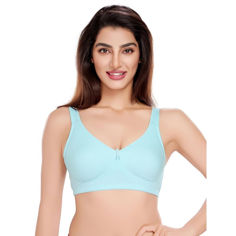 Juliet Womens Allure In Comfort Minimizer Bra Rose Blue (44D)