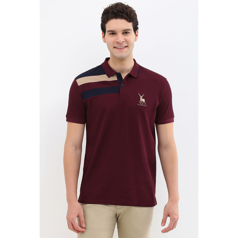 Allen Solly Men Maroon Collar Neck Polo T-Shirt (L)