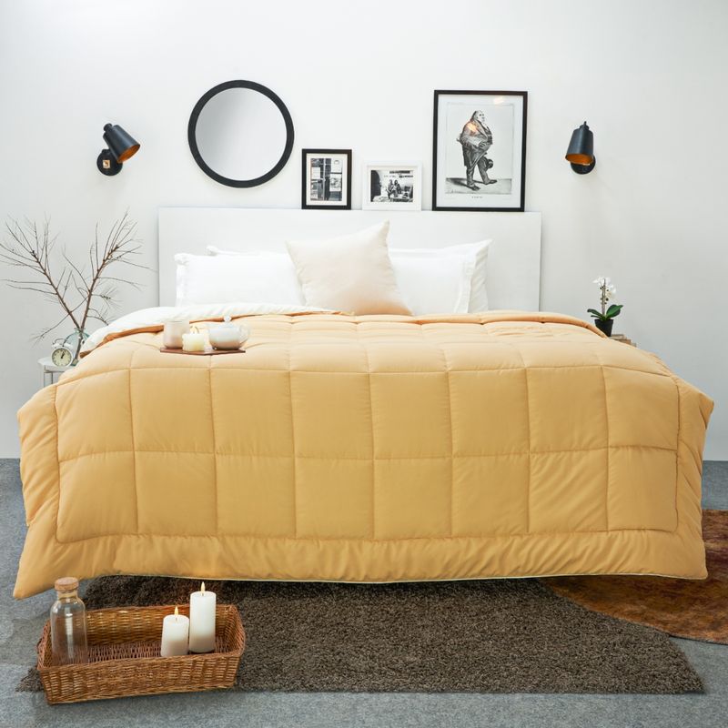 SPACES Silkysoy Microfiber Shell Quilt Single, Ivory (Single)