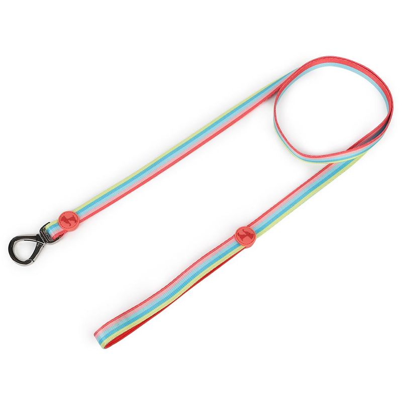 Heads Up For Tails Rainbow Popsicle Dog Leash (Small)
