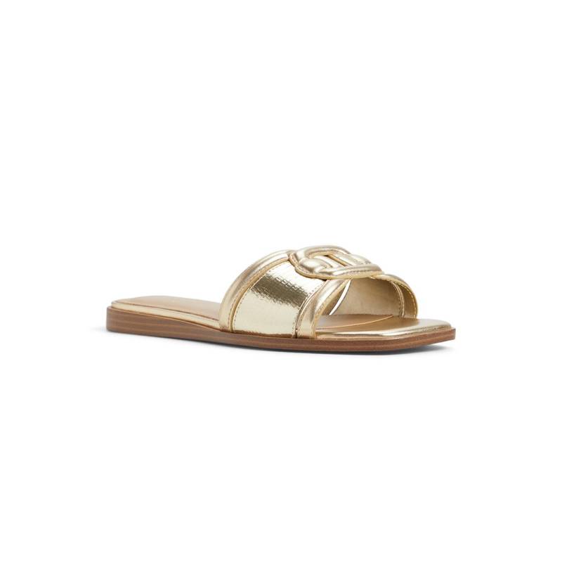 Aldo Women Bronze Flats (UK 5)