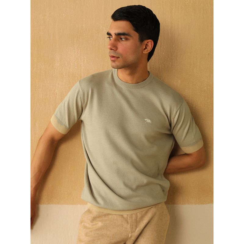 Andamen Regular Fit Men Grey Solid Cotton Single Jersey Crew Neck T-Shirt (L)