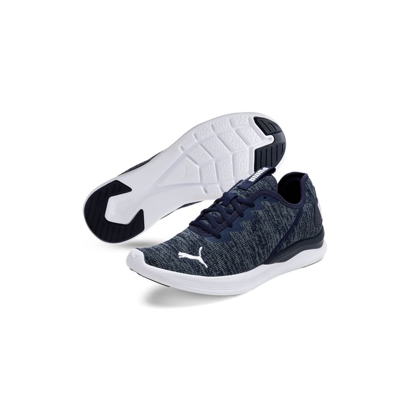 Puma ballast store