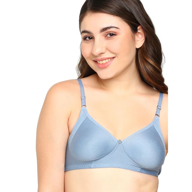 BLOSSOM Moulded T-Shirt Bra Featuring Side Panels Gracious Silver Grey (34C) (34C)