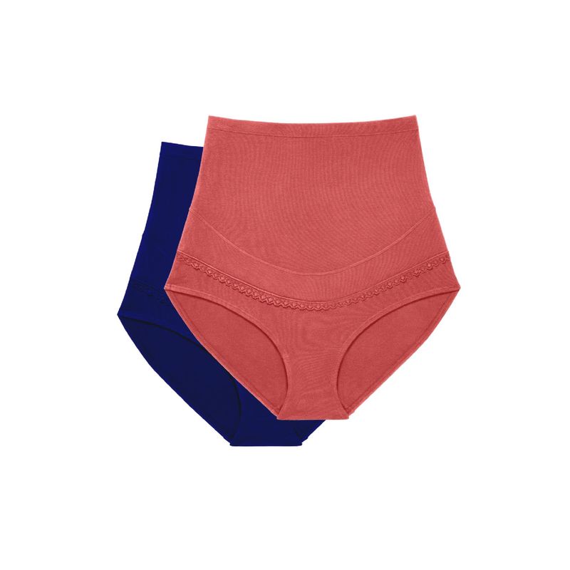 BLOSSOM Preggy Panty Multi-Color (Pack of 2) (L) (Pack of 2) (L)