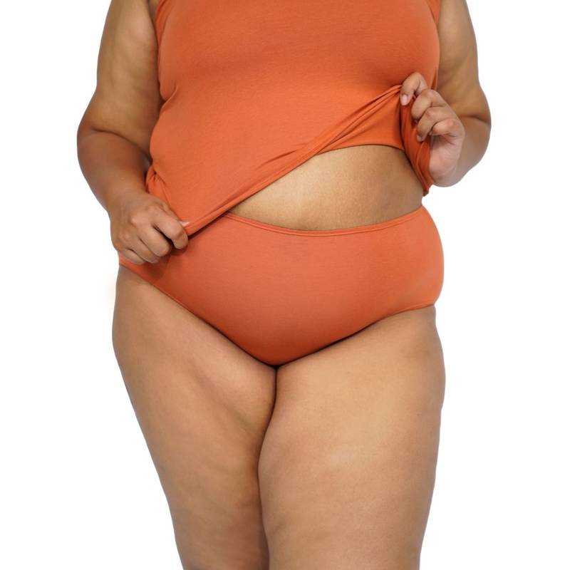 Buttchique High Rise Panty With Full Hip Coverage - Coral (M)