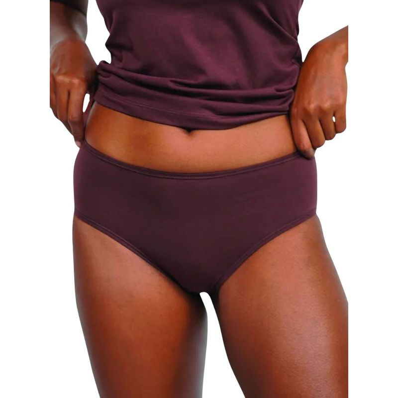 Buttchique Hipster Panty With Full Hip Coverage - Purple (4XL)