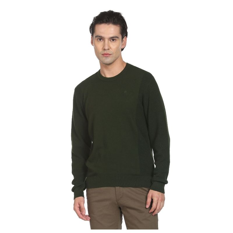 Arrow Men Olive Crew Neck Textured Sweater