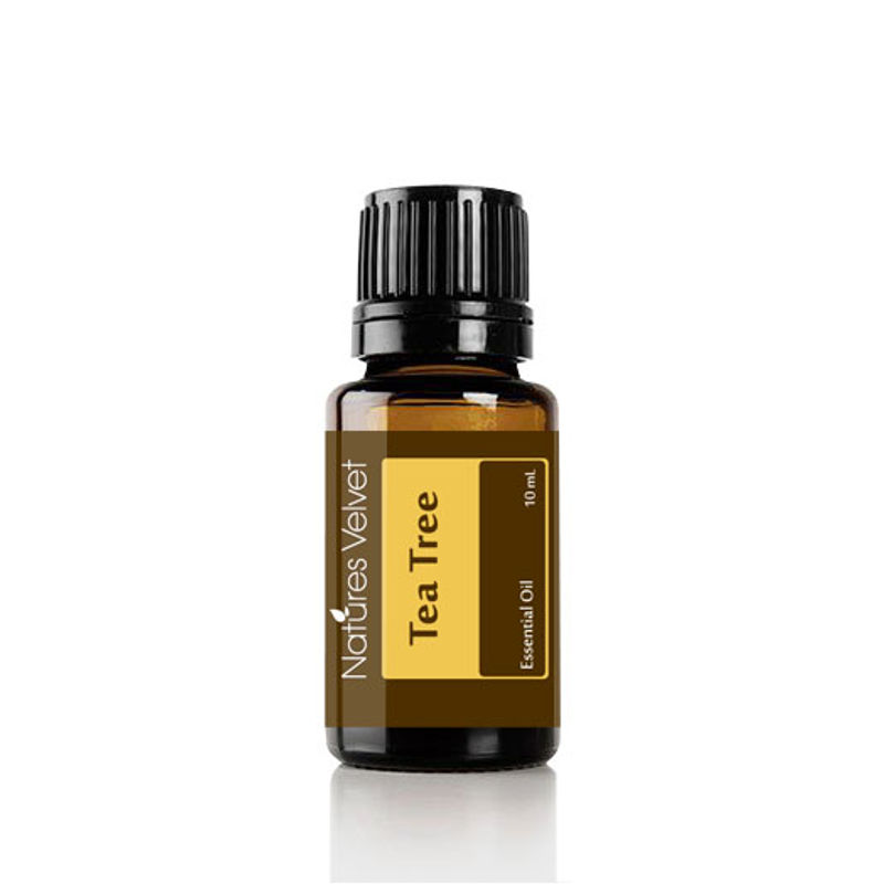 Nature's Velvet 100% Pure Natural & Undiluted Tea Tree Essential Oil