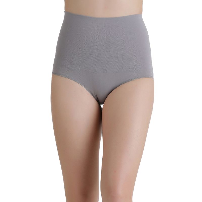 PRETYZOOM 4pcs Women High Waisted Underwear Cotton Tummy Control Underpants  Briefs Panties (Grey Size 2XL)