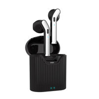 pTron Basspods 481 Bt5.0 Wireless Headphones With 12Hrs Playback Time With Case (Black & Silver)