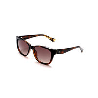French Connection Brown Lens Square Sunglass Full Rim Brown Frame With Gradient (FC 7593 C2)