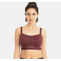 buy zivame bra online