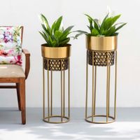 The Decor Remedy Midas Touch Gold Handwork Cane Planters Set Of 2