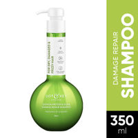 Dot & Key Quinoa Protein & Olive Damage Repair Shampoo