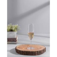 Pure Home + Living Set of 6 Clear Sylvia Champagne Flute Glass