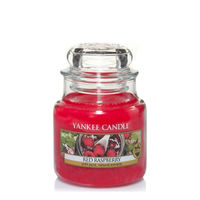 Yankee Candle Classic Small Jar Red Raspberry Scented Candles