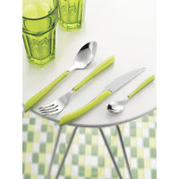 Amefa Eclat Metallic Cutlery Gift Box Set of 24 - Olive Green
