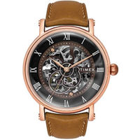Timex Automatic Men's Watch (TWEG16704)