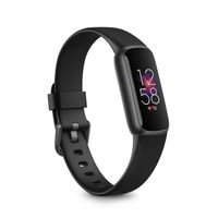 Fitbit Luxe Black / Graphite Stainless Steel Smart Watch Band