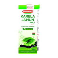 Baidyanath Karela Jamun Juice (Helps Maintain Healthy Sugar Levels)