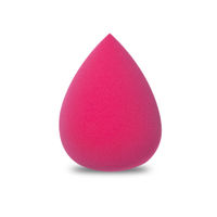 Colorbar Blend-itudeBeauty Sponge - Spicy Pink 002