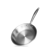 Bergner Argent Triply Stainless Steel Frypan, 20 Cm, Induction Base, Silver