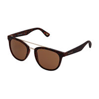 Skechers Sunglasses Irregular With Brown Lens For Men & Women