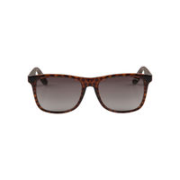 Carrera Brown Square Sunglasses ( CA-5025S-702-HA-54 )