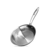 Bergner Argent 5cx 5 Ply Stainless Steel Frypan, 24 Cm, Induction Base, Silver