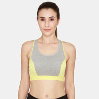 Zivame Sports Bra With Removable Padding - Multi-Color