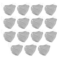 Fabula Pack Of 15 Anti-pollution Reusable 5-layer Mask Color: Grey