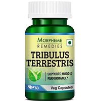 Morpheme Remedies Tribulus Terrestris Capsules -Supports Mood & Performance Gokshura Extract - 500mg Extract