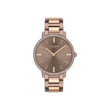 Coach Watches Audrey Brown Stainless Steel Ladies Watch Co14503502w