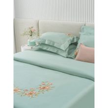 Ddecor Live Beautiful 210 TC Cotton Embroidered Bed Sheet Set-P0022-FLORENCE-PEPPERMINT (King)