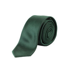 Alvaro Castagnino Mens 100 Percent W.Silk Necktie