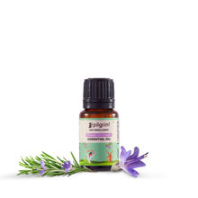Pilgrim Spanish Rosemary Essential Hair Oil