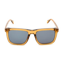 Just Cavalli Shiny Brown Acetate Frame & Grey Smoke Sunglasses (SJC03554913SG) (54)