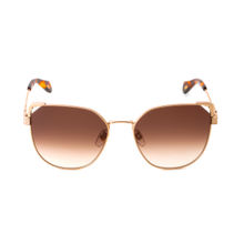 Just Cavalli Shiny Light Gold Alloy Metal Frame and Brown Sunglasses (Sjc04258594Sg) (58)