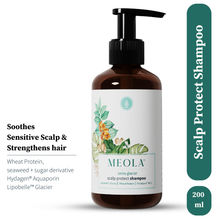 MEOLA Swiss Glacier Scalp Protect Shampoo