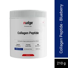 Nudge Collagen Peptide Blueberry Flavour Protein Powder
