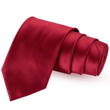 PELUCHE Classy Necktie For Men