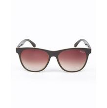 Pepe Jeans Wayfarer Eyewear - Pj7277c3