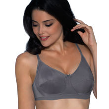 Amante Non-Padded Non-Wired Full Coverage T-Shirt Bra - Grey