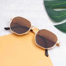 TED SMITH Unisex Polycarbonate Uv Protection Full Rim Hexagon Shape Brown Lens Sunglasses